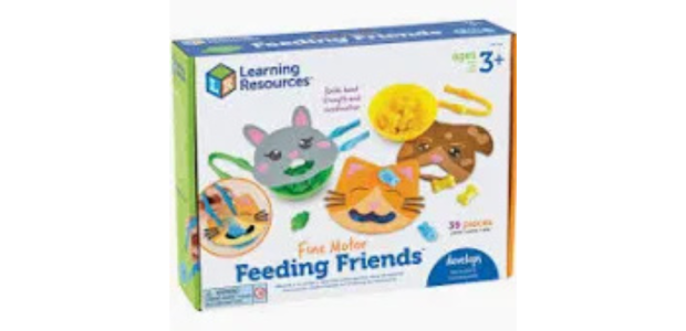 Montessori Toys Educational Learning