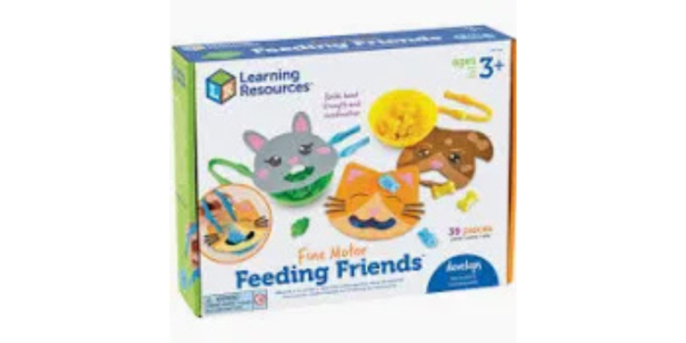 Montessori Toys Educational Learning